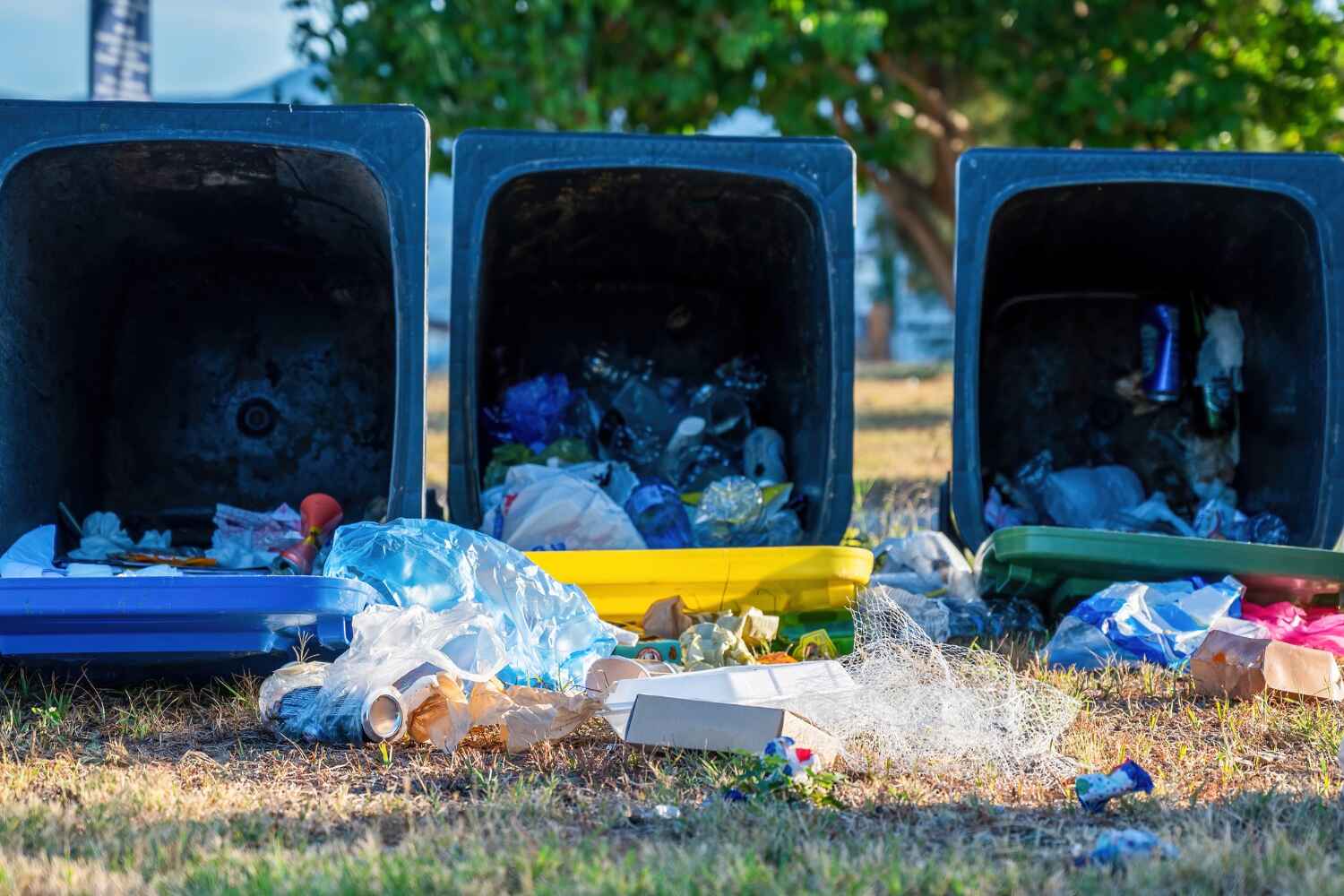 Professional Junk Removal in Maypearl, TX